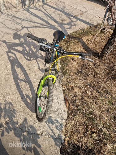 Հեծանիվ 20 (4)