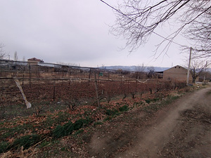 Հողատարածք (2 լուսանկար / 6)