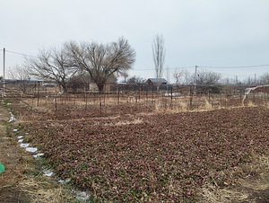 Հողատարածք (6 լուսանկար / 6)