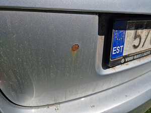 Skoda Fabia (vigadega) (11 foto / 11)