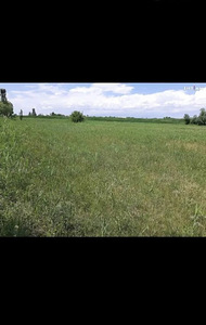 Հողատարածք (1 լուսանկար / 1)