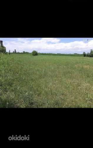 Հողատարածք