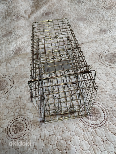 Крысиная ловушка