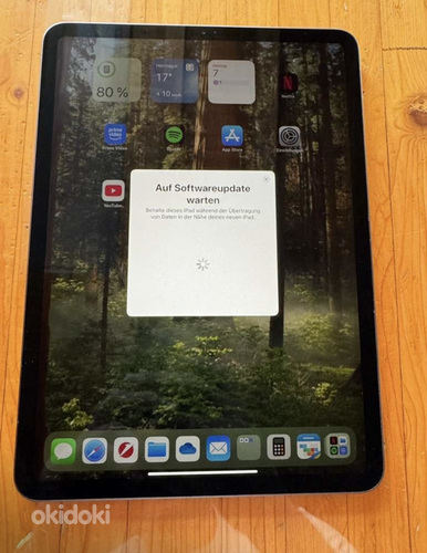 iPad Pro 11(2018)