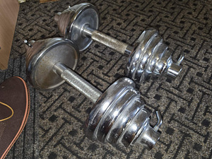 Kokkupandavad hantlid 2 X 12,5 kg (2 foto / 3)