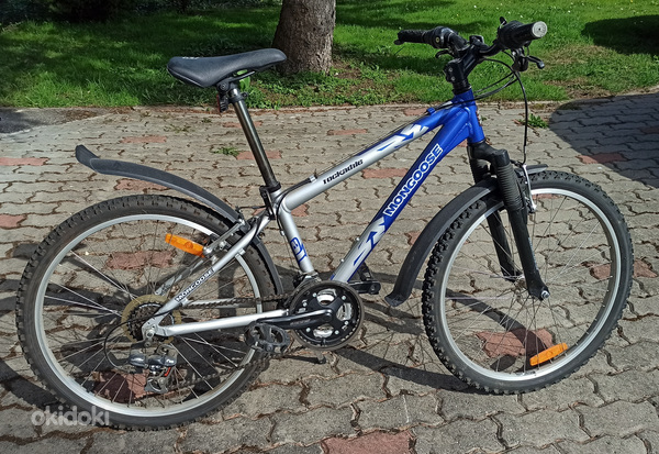 Noorte jalgratas "Mongoose Rockadile"