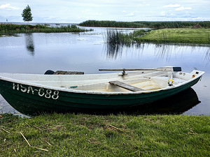Paadi müümine (2 foto / 2)