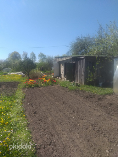 Ereda vkt 47, Kohtla-Järve, Ida-Virumaa