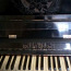 Must klaver roosiga Smolensk (foto #3)
