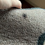 Придверный коврик / коврик для ног с изображением кота (фото #3)