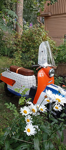 T-200 TULITSA (8 фото из 10)
