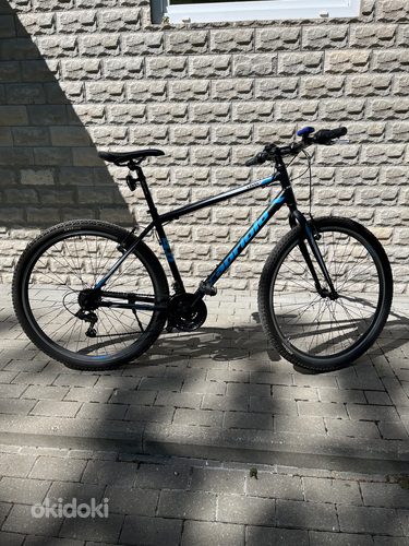 Горный велосипед Capriolo MTB level 9.0 29”