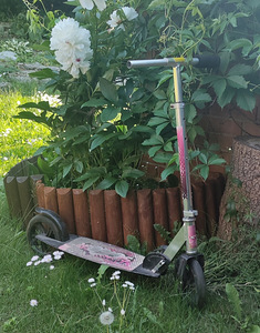 Tõukeratas suured rattad. Tasuta!!! (4 foto / 4)