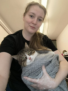 Hooliv kassihoidja — teie lemmiku eest hoolitsemine (2 foto / 10)