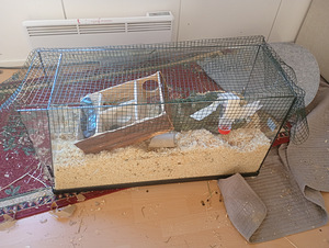 Terraario (2 valokuva sivusta 2)