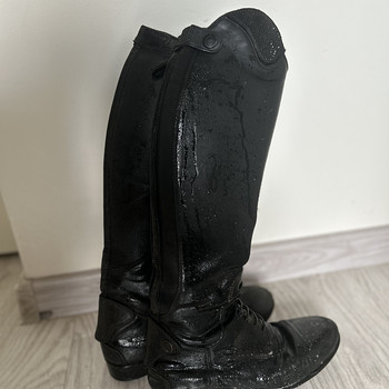 Снаряжение для верховой езды