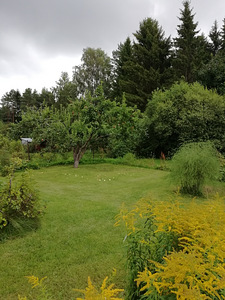 Suvila Kibunas, Saue vald (2 foto / 15)