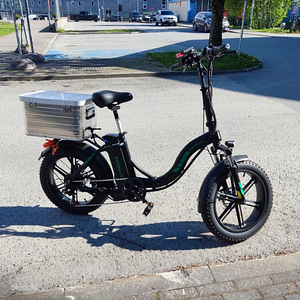 Электровелосипед KOOLUX 700W (2 фото из 9)
