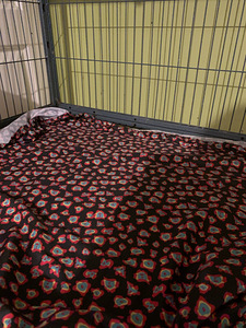 Ferret Nation puur (3 foto / 5)