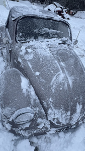 Volkswagen beetle (8 foto / 12)