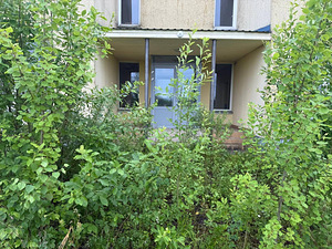 Muru, põõsaste ja puude niitmine, sillutuskivide pesemine. (1 foto / 4)