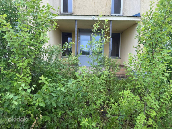 Muru, põõsaste ja puude niitmine, sillutuskivide pesemine.