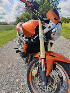 Honda hornet (2 foto / 7)