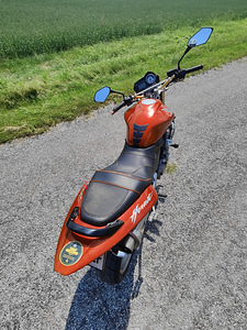 Honda hornet (6 foto / 7)