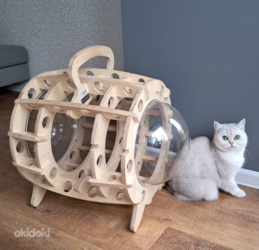 Кошачий домик
