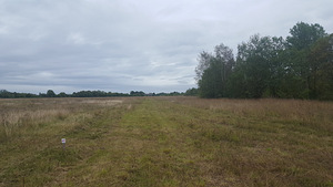Maatükk aiandusühistus Maardus, Ülgase küla.Soodushind (3 foto / 5)