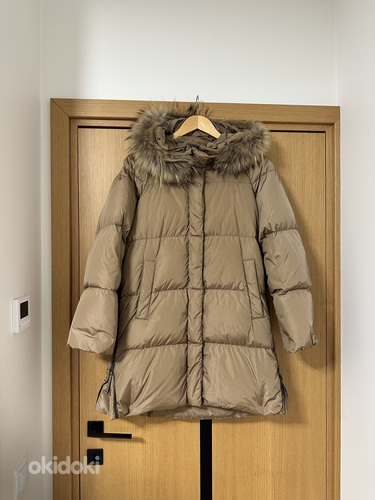 Maxmara sulejope