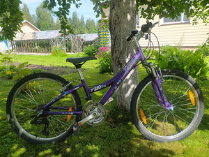 Велосипед Trek MT 220, 24" (1 фото из 10)