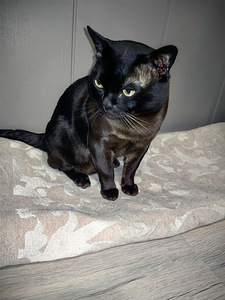 Birma (6 foto / 6)