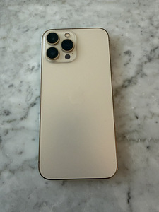iPhone 13 Pro Max Gold 256 GB, kuldne (1 foto / 9)