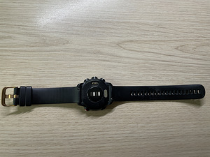 Garmin Forerunner 245 Music (2 foto / 7)