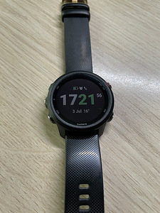 Garmin Forerunner 245 Music (3 foto / 7)