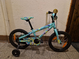 Scott contessa 16 (3 foto / 3)