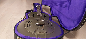 Gretsch Honeydipper (1 foto / 7)