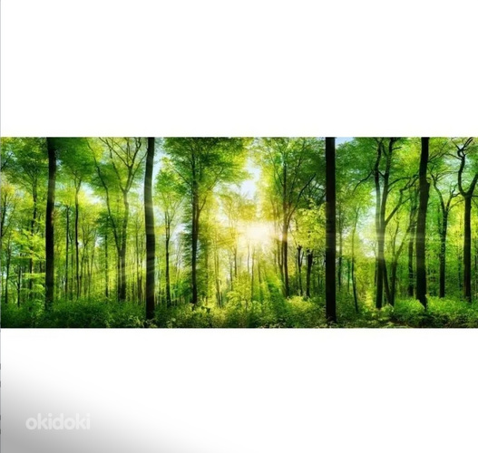 Klaaspilt 50x125