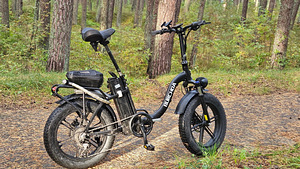 Elektriratas BURCHDA R8S 800W (2 foto / 2)