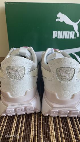 Новые кроссовки Puma №41 (фото #2)