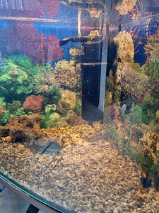 Nurgaakvaarium umbes 100 l (3 foto / 3)