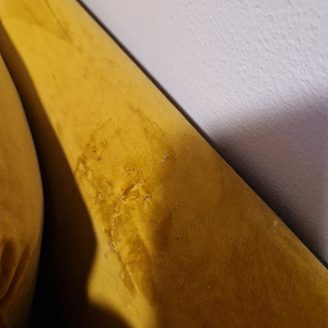 Nurgadiivan sinepikollane (2 foto / 3)