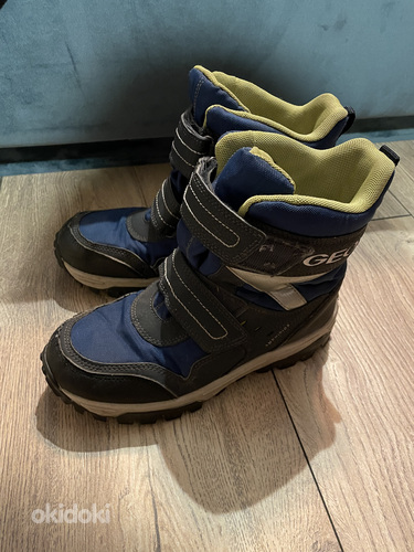 Зимние ботинки Geox, размер 35 (фото #1)
