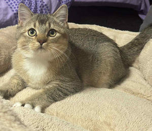 Kaksi ihanaa poikaa vielä vapaana! (5 valokuva sivusta 7)