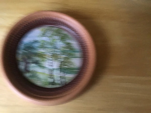 Savist seinakaunistus (2 foto / 4)