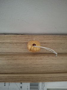 Kuldne Harry Potteri kuju (2 foto / 10)