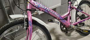 Велосипед Bottecchia 20" (4 фото из 6)