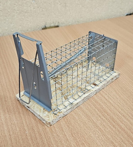 Peļu slazds-krātiņš ALIVE 12 x 5,5 x 5,5 cm