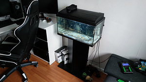 Aluskapiga 60L akvaarium (1 foto / 3)